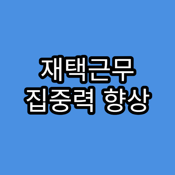 재택근무 집중력 향상 아이템