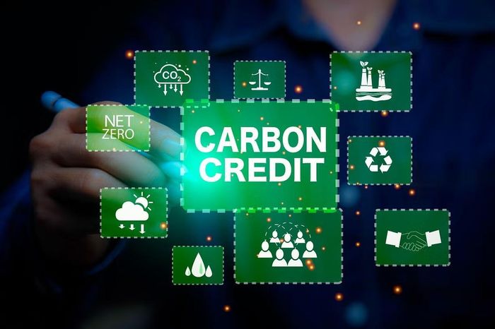 Hỗ trợ doanh nghiệp tham gia thị trường carbon - Đài Phát thanh và truyền hình Hà Nội