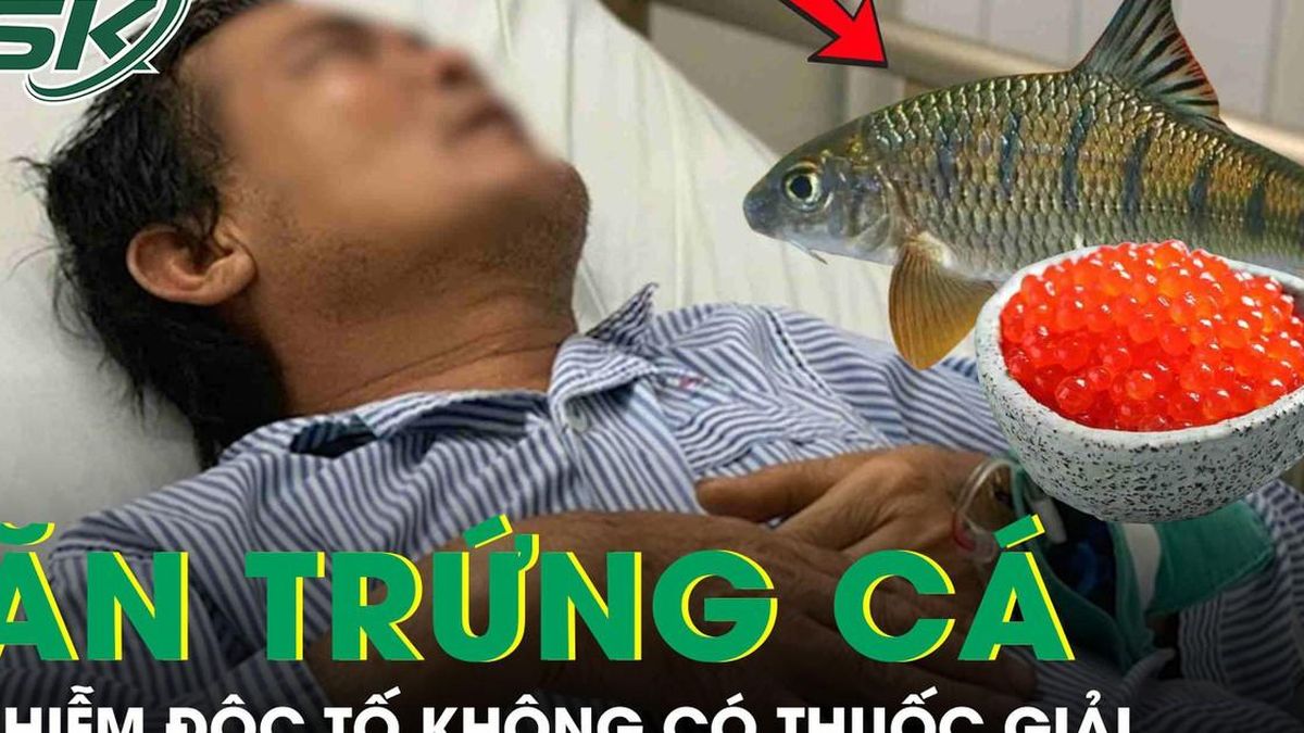 Người đàn ông 45 tuổi nhiễm phải độc tố không có thuốc giải sau khi ăn trứng cá chép - Báo Sức Khỏe &amp; Đời Sống