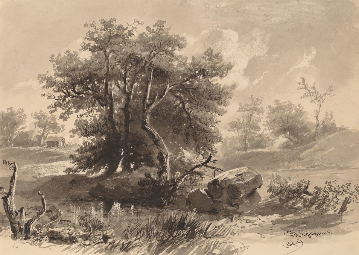 The TreesBedfordNew York 1849