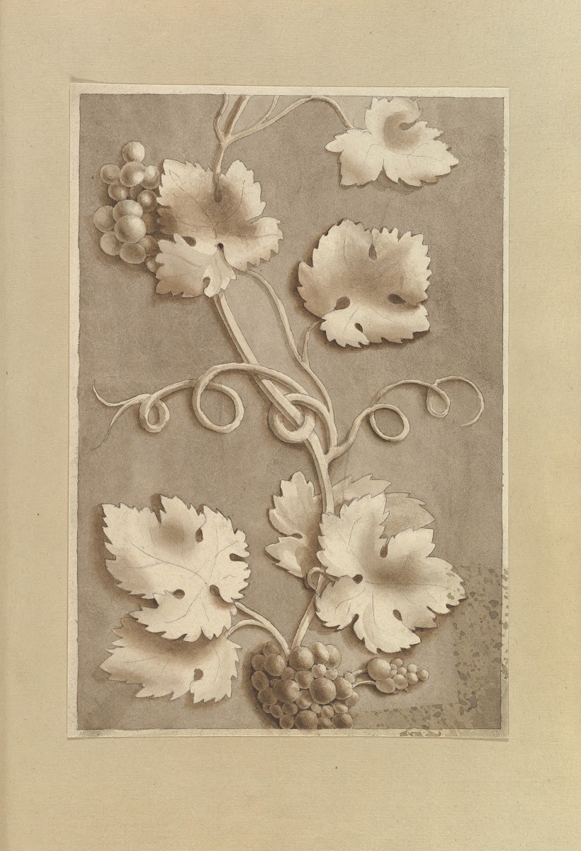Grapes and Vine leaves 184570