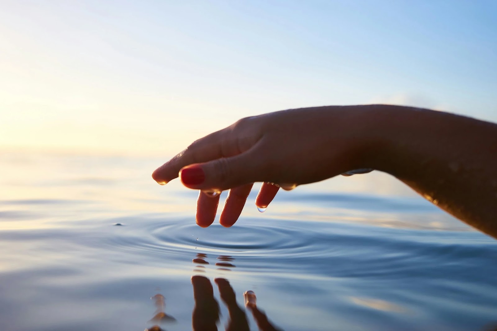 DeGray Lake — Wellness on the Water