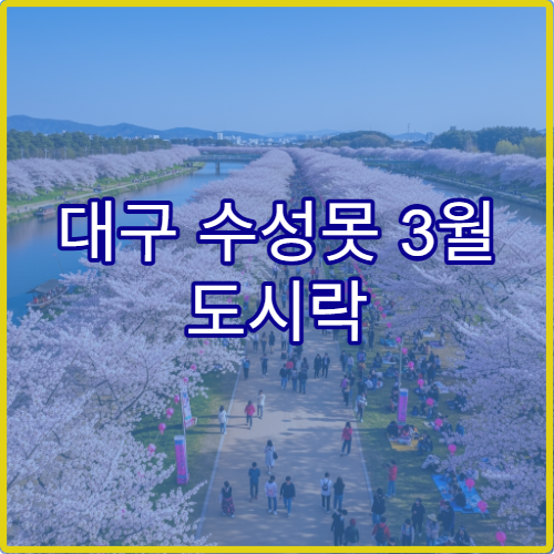 대구 수성못 3월 도시락 싸기 좋은 피크닉 존 정확한 위치와 팁