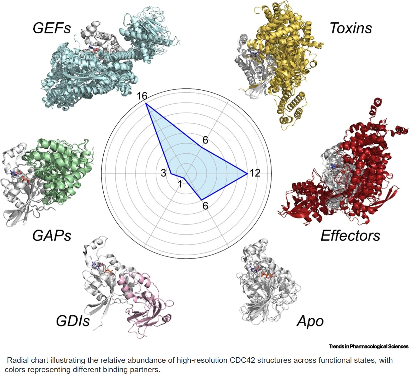 Recent advances in CDC42 subfamily inhibition and therapeutic potential