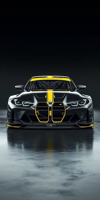 BMW Race Car Picture