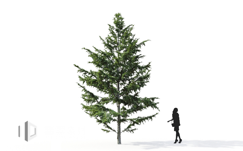 Maxtree - Plant Models Vol.9