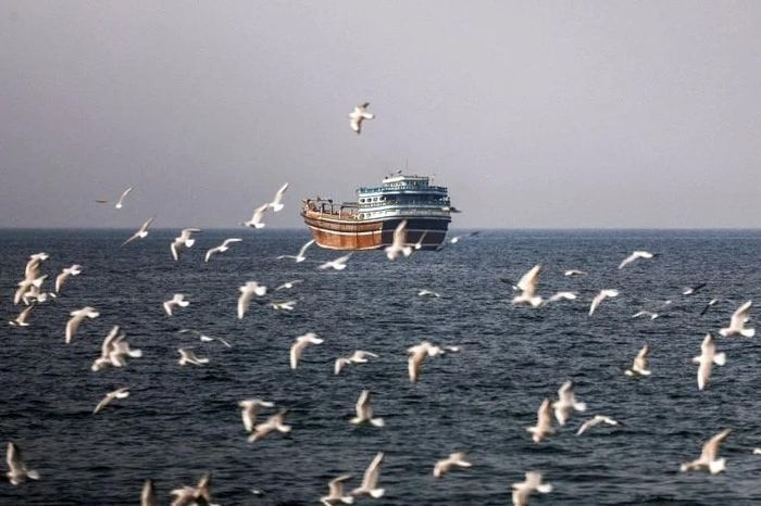 Có gì trên tàu hàng Iran bị Mỹ thu giữ trên Vịnh Oman? - Báo Tiền Phong