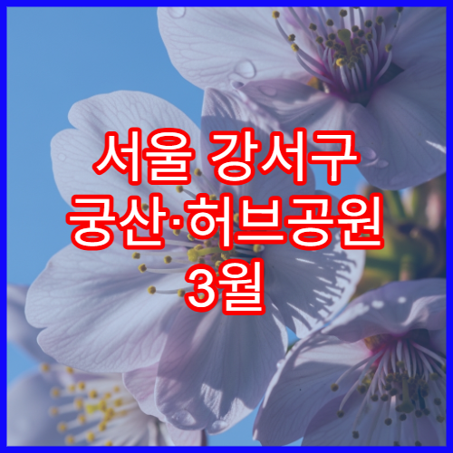 서울 강서구 궁산·허브공원 3월 벚꽃 산책 코스