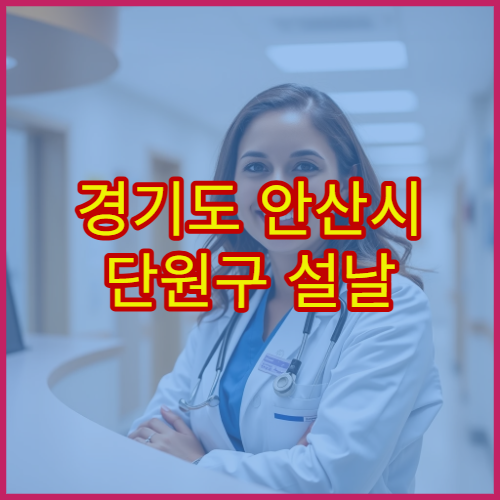 경기도 안산시 단원구 설날 명절 내과 연휴 진료 병원 감기·소화불량·고혈압 응급 관리 가능