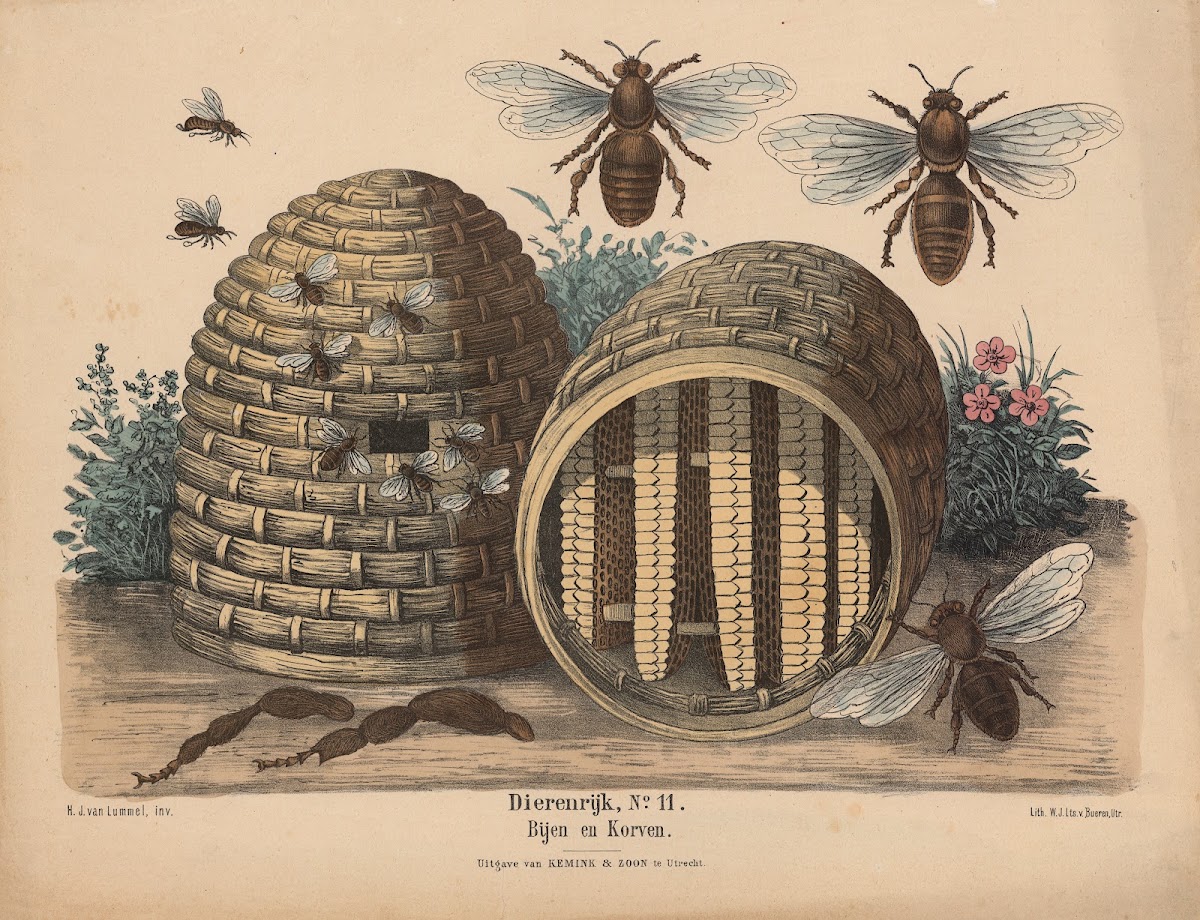 Bijen en Korven 1841