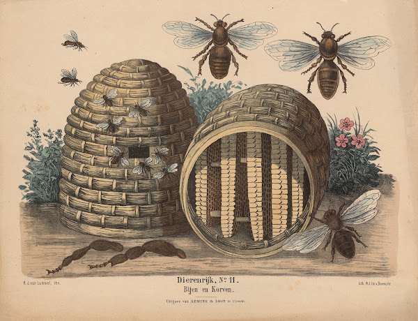 Bijen en Korven 1841