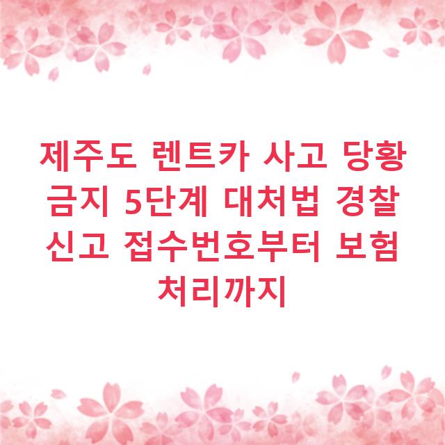 제주도 렌트카 사고 당황 금지 5단계 대처법 경찰 신고 접수번호부터 보험 처리까지