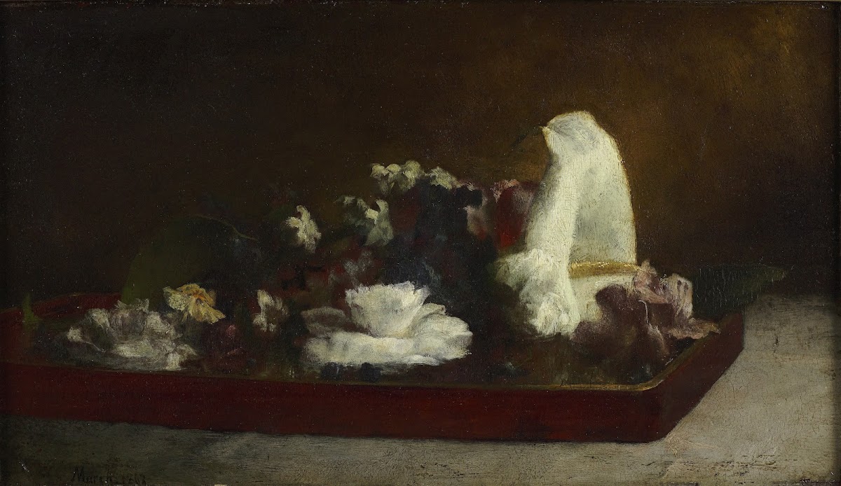Calla Lily 1862