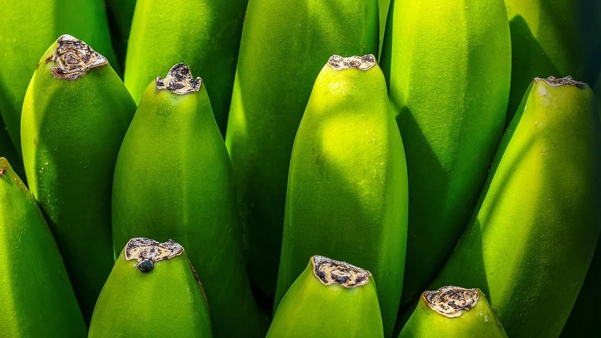 한국 주요 수출입 품목별 관세율 조회와 적용 기준 정리