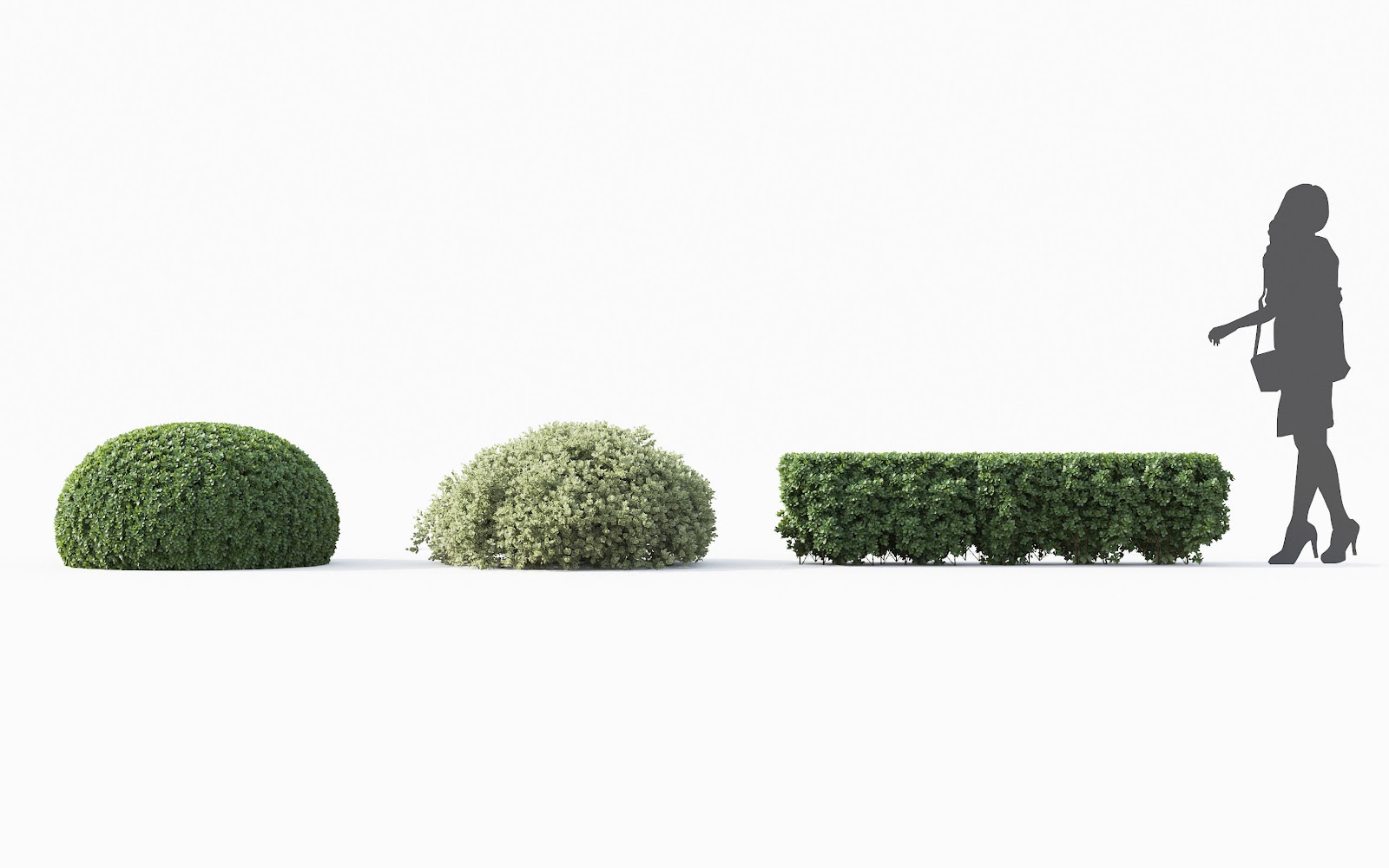 Maxtree - Plant Models Vol.28