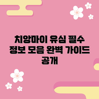 치앙마이유심, 치앙마이 유심 구매, 유심 카드 사용법, 어떻게 유심을 선택하나, 치앙마이 통신 팁