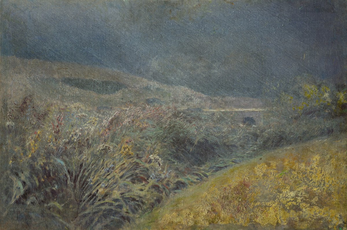 Motif from the Belianske Tatra 18801900