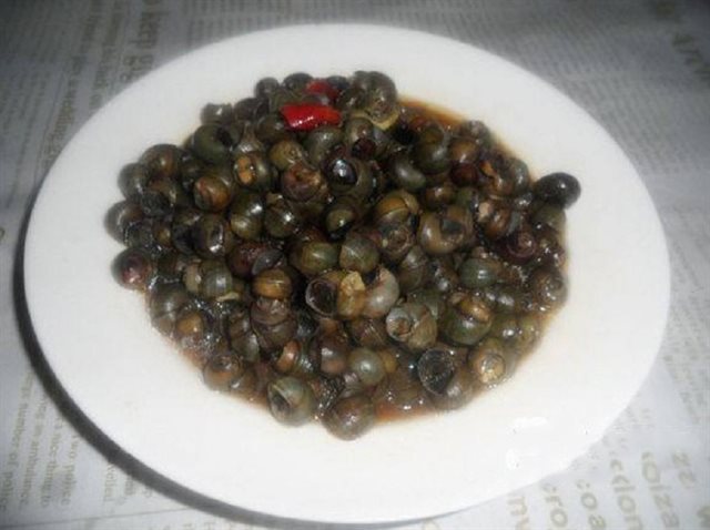 Ốc Đắng Xào Ớt Hành Cay Thơm