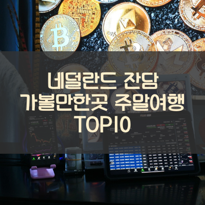 네덜란드 잔담 가볼만한곳 주말여행 TOP10 썸네일