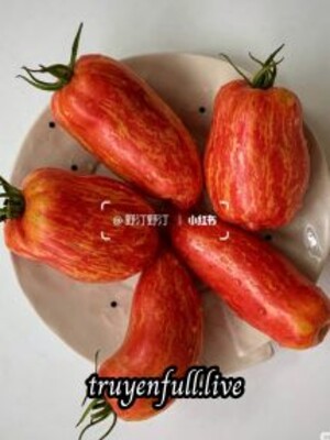 Làm Sao Để Trở Thành Bạch Liên Hoa