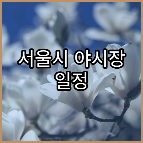 서울시 야시장 일정 | 먹거리·공연·데이트코스