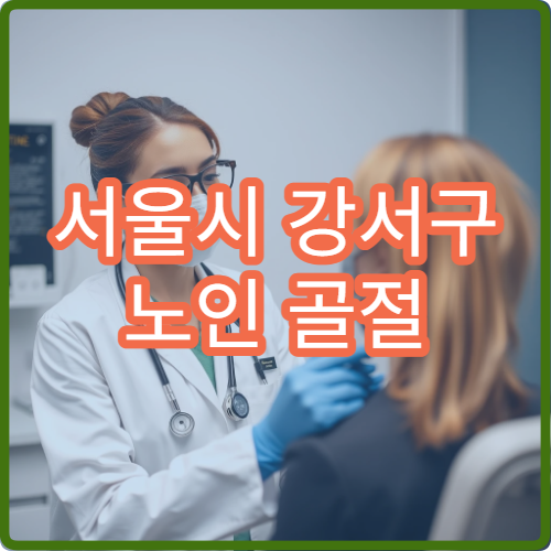 서울시 강서구 노인 골절 재활 골밀도 검사 통합 관리 병원