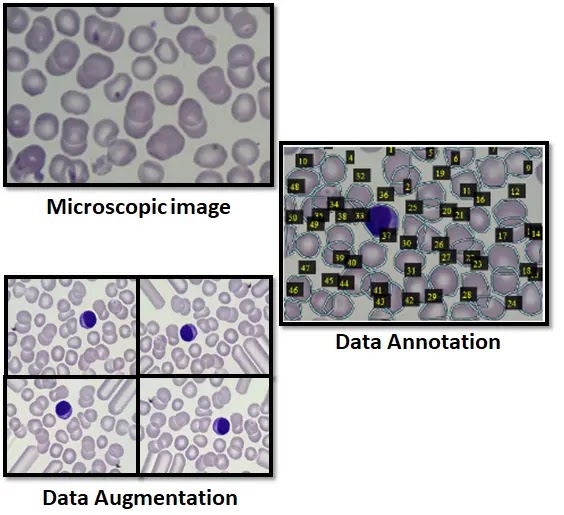 Data-Annotation