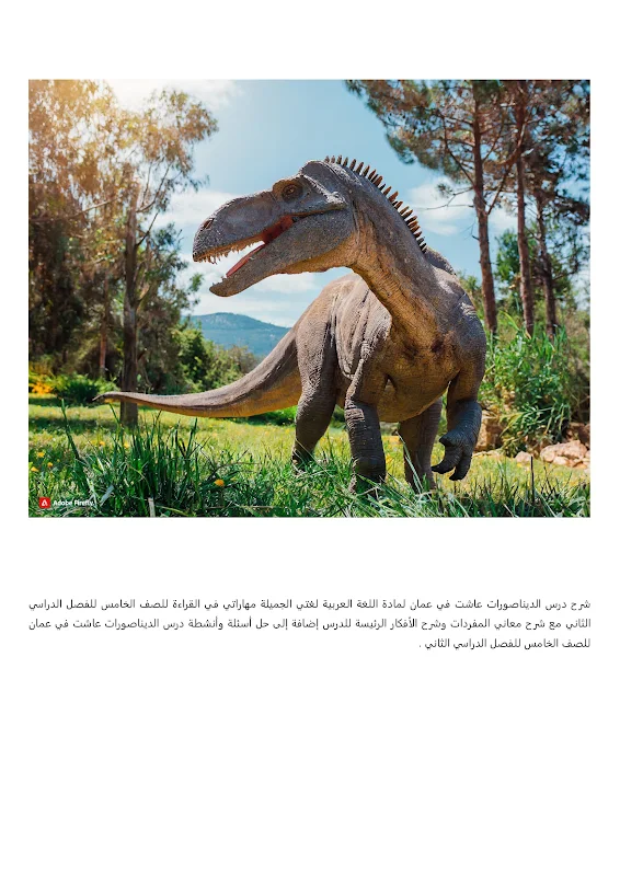 صورة الغلاف