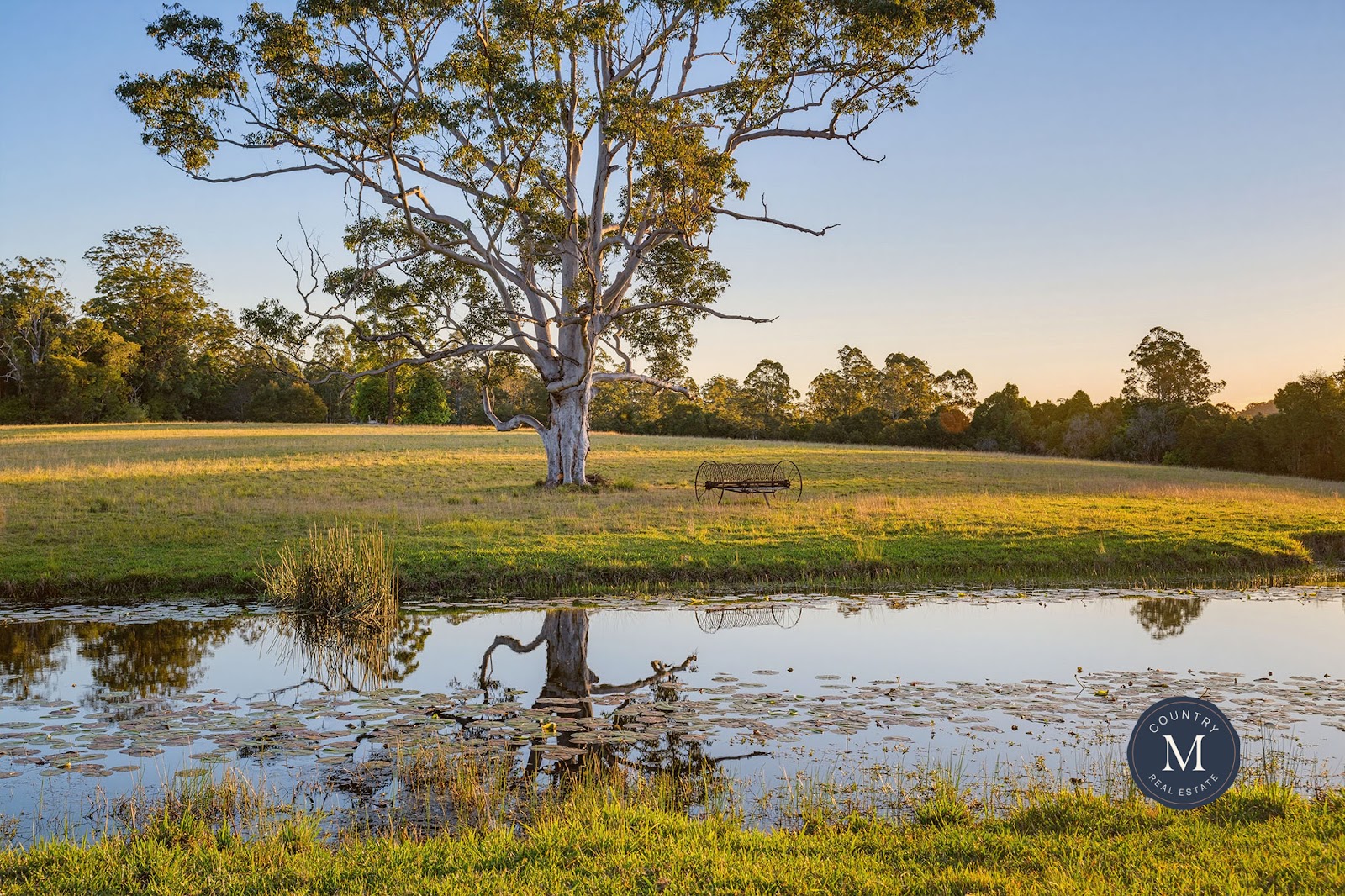 145 Bril Bril Road, Rollands Plains For Sale by Farmbuy.com - image 4