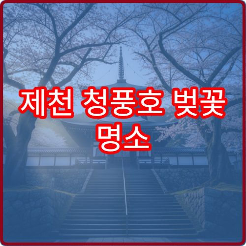 제천 청풍호 벚꽃 명소 순위 1위 물태리 평일 방문 가이드