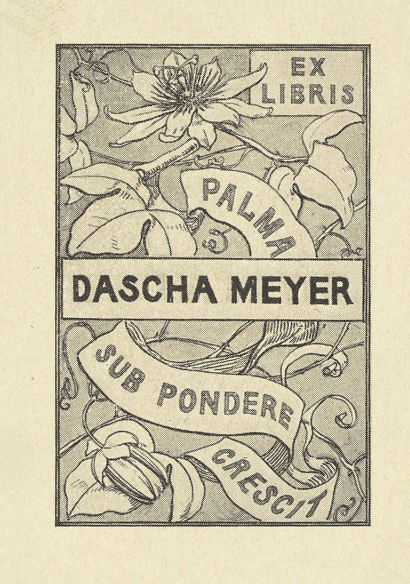 Dascha Meyer