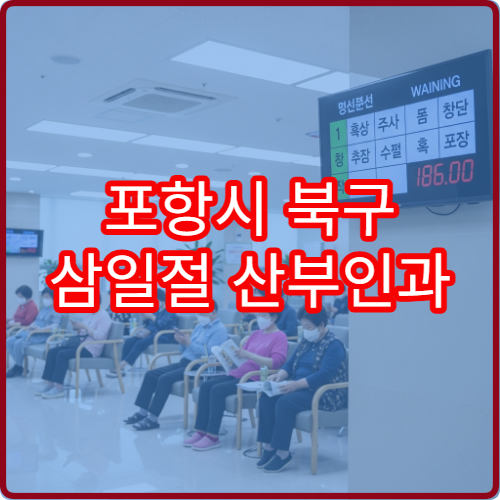 포항시 북구 삼일절 산부인과 진료 여성검진 상담 가능