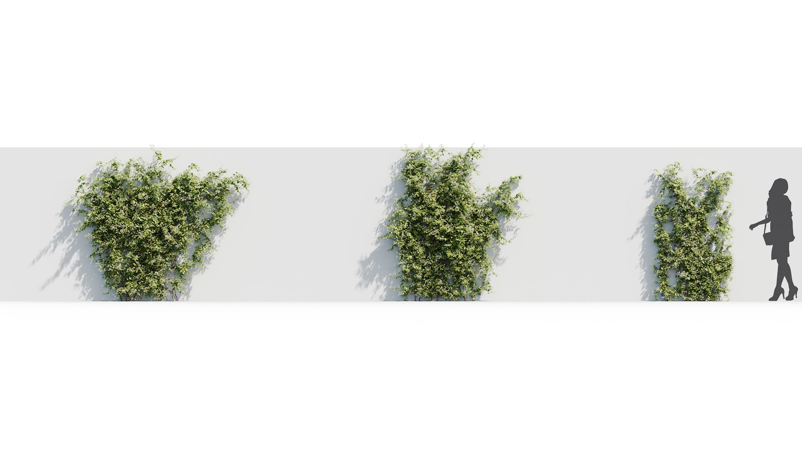 Maxtree - Plant Models Vol.37