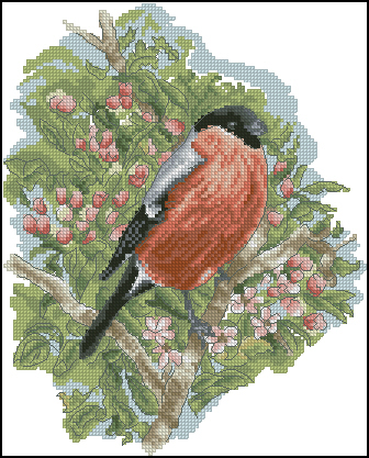 CMP K5553 Bullfinch