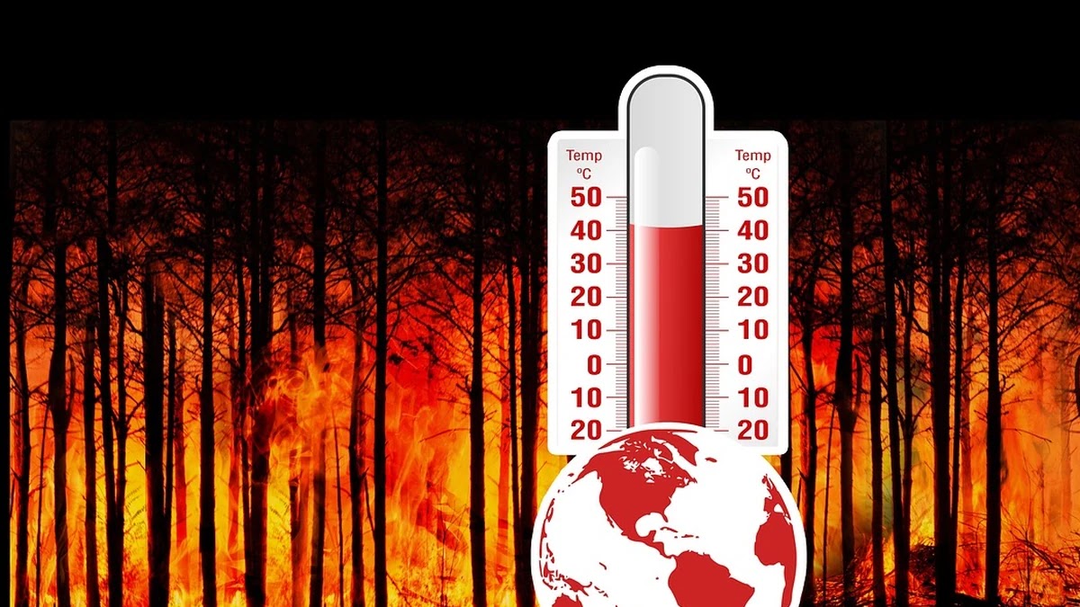 미중 무역분쟁 이후 주요 국가 관세 정책 변화와 전망