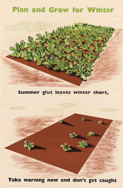 Plan And Grow For Winter  Summer Glut Leaves Winter Short  Take Warning Now And