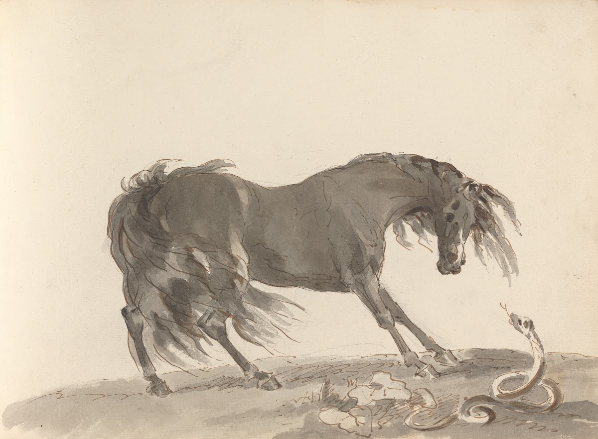 Fourty three Studies of Horses and Riders Pl25 1787