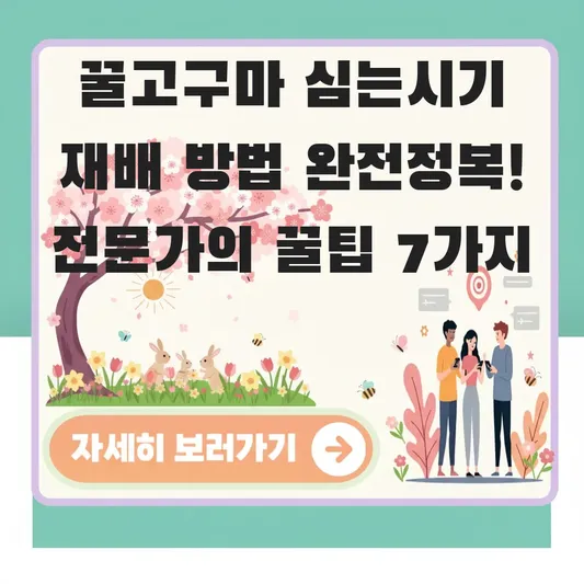 꿀고구마 심는시기 재배 방법