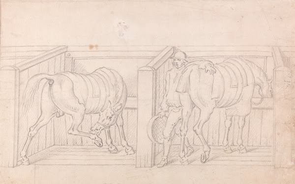 Two Saddled Horses in Stalls in a Stable