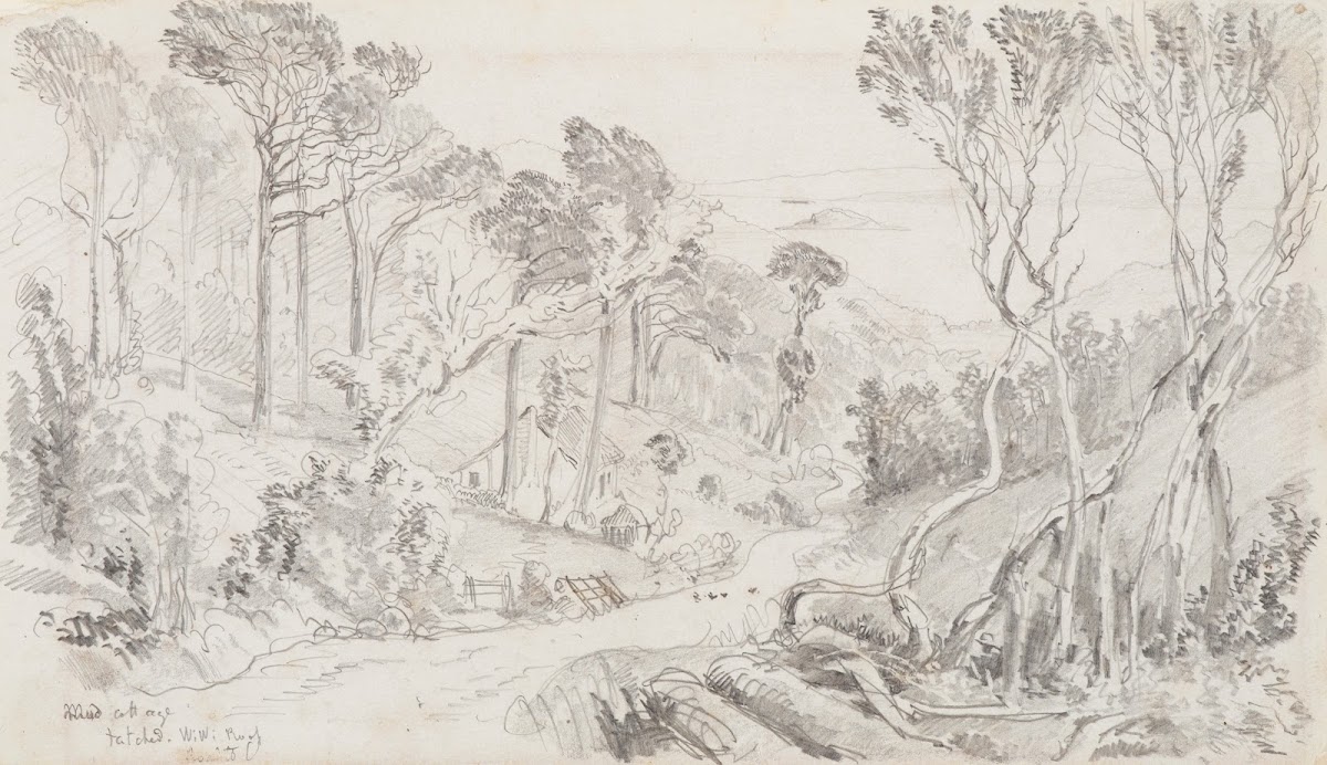 View of a mud cottage on the road to an unknown bay 1866