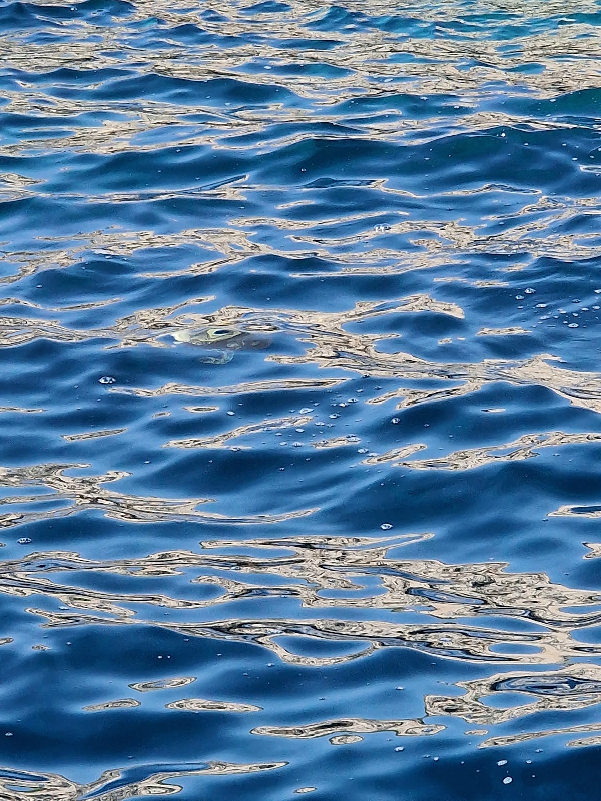 Photo de la navigation NAV-015