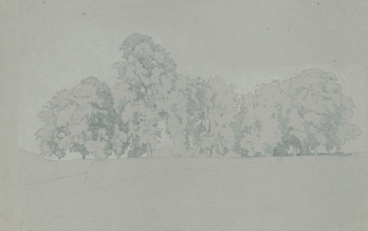 A grove
