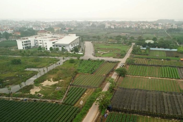 Hà Nội đề xuất cho thuê hơn 36.000 ha đất bãi sông thời hạn 20 năm - Đài Phát thanh và truyền hình Hà Nội