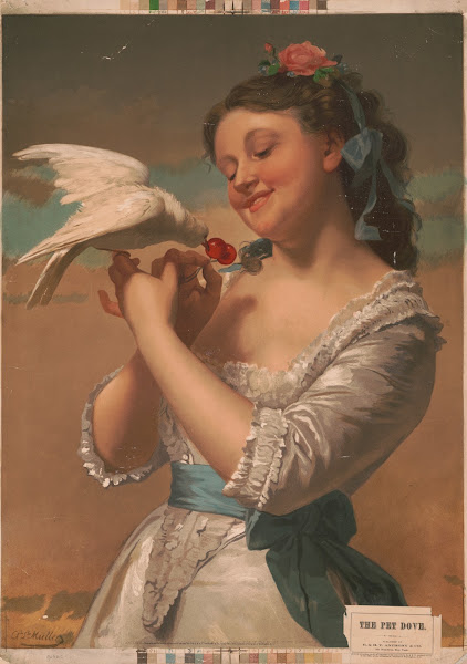 The pet dove 1872