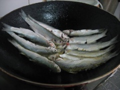 Đun 3-4 muỗng canh dầu ăn trong chảo, cho cá đối đã làm sạch vào chiên cho da cá săn lại và vàng xém.