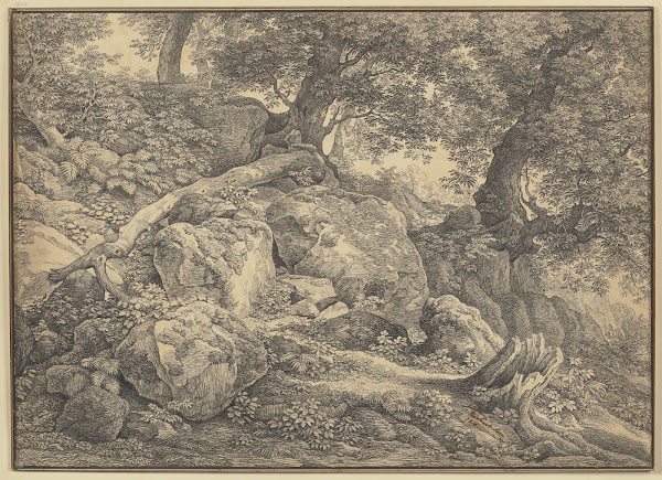 Abhang mit Felsblöcken und Ölbäumen im Park der Prinzen Chigi zu Ariccia 1818