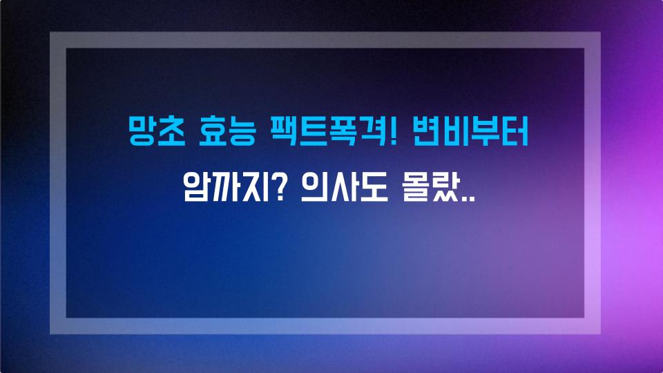 망초 효능 팩트폭격! 변비부터 암까지? 의사도 몰랐던 한방 비밀