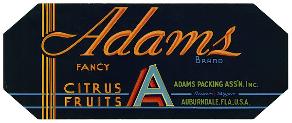 Adams Brand Fancy Citrus Fruit Label 1930 1950