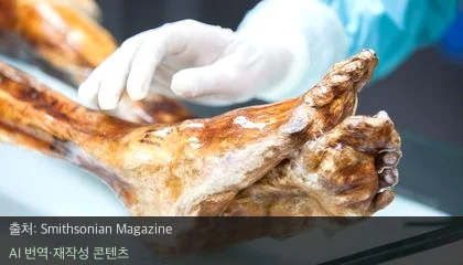 외치 아이스맨 - 5,300년 전 미라 외치 아이스맨의 효모로 만든 사워도우 빵