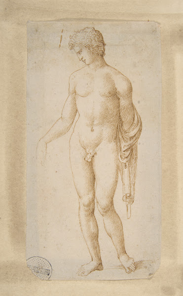 Standing Male Nude ca 1506